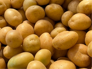 Fresh potatoes